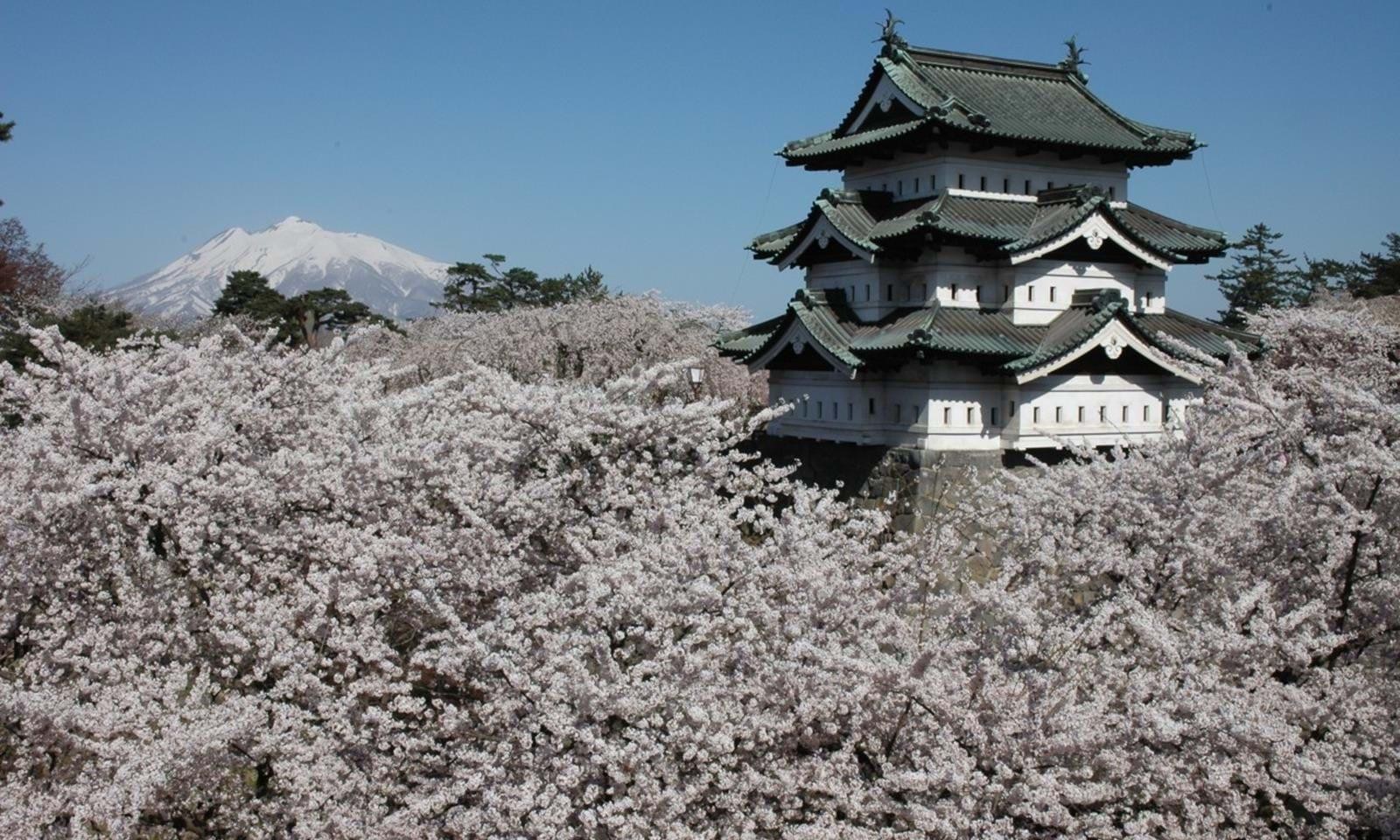 Aomori & Hirosaki