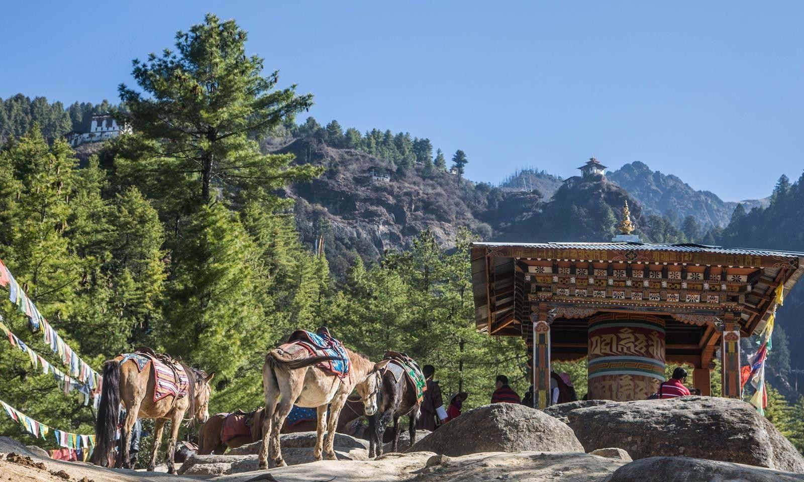 Hike to Tiger’s Nest