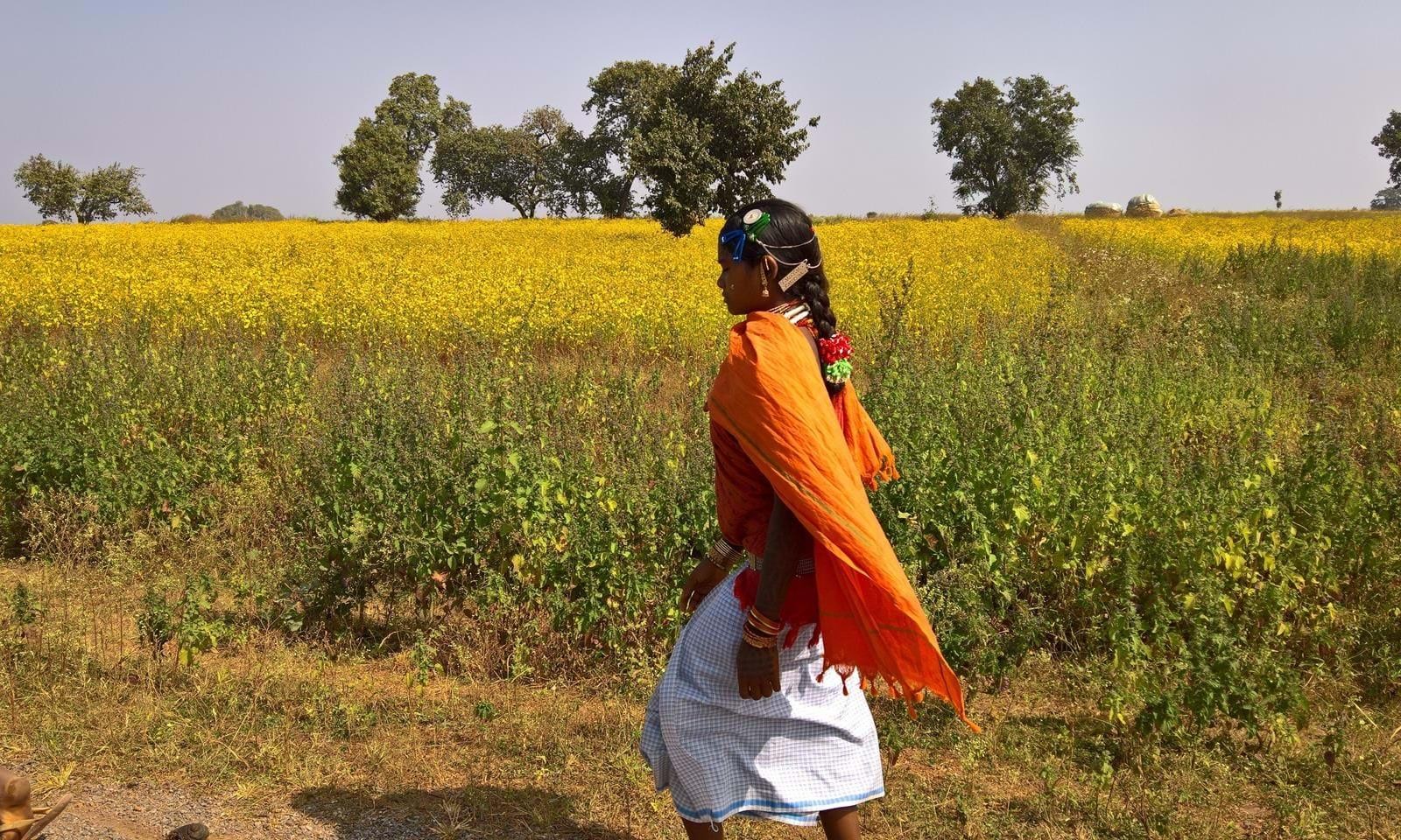 The Adivasis of Odisha