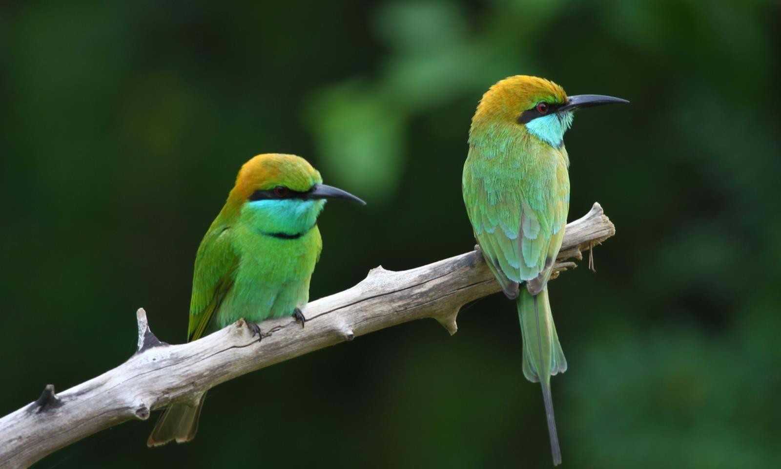 Wilpattu National Park