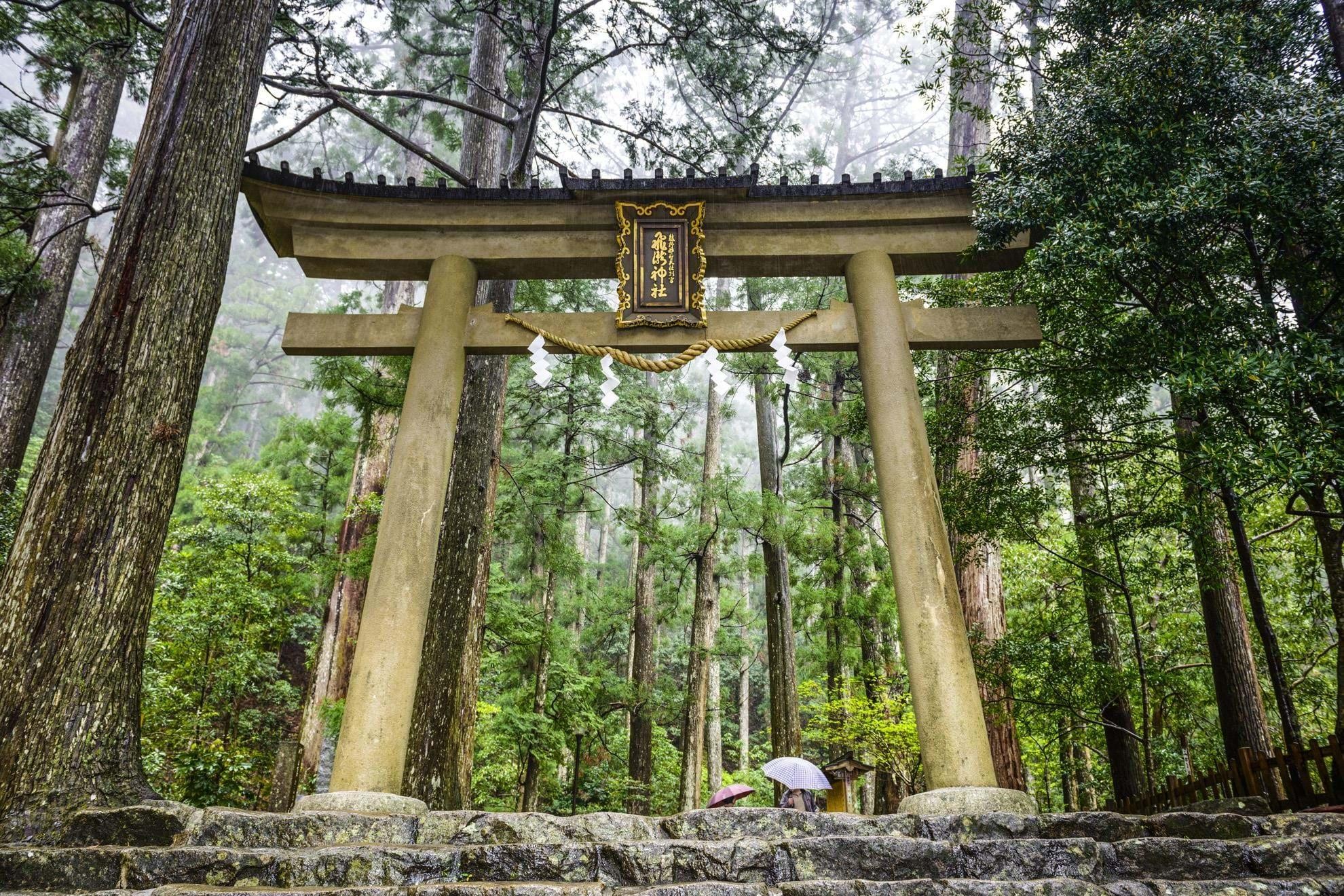 Japan Discovery