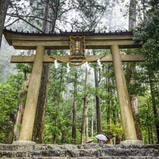 Japan Discovery