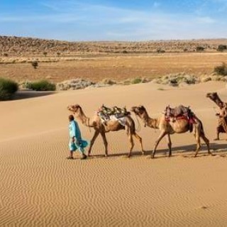 Desert Romance