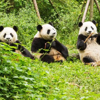 Discover China