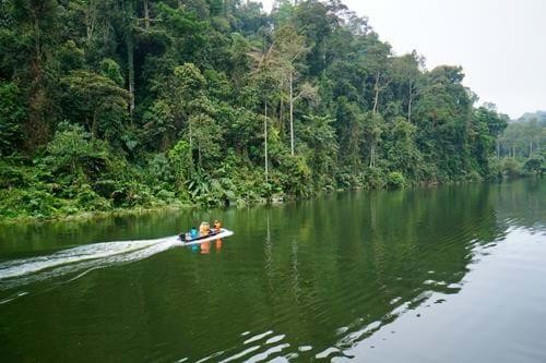 Mystical Borneo