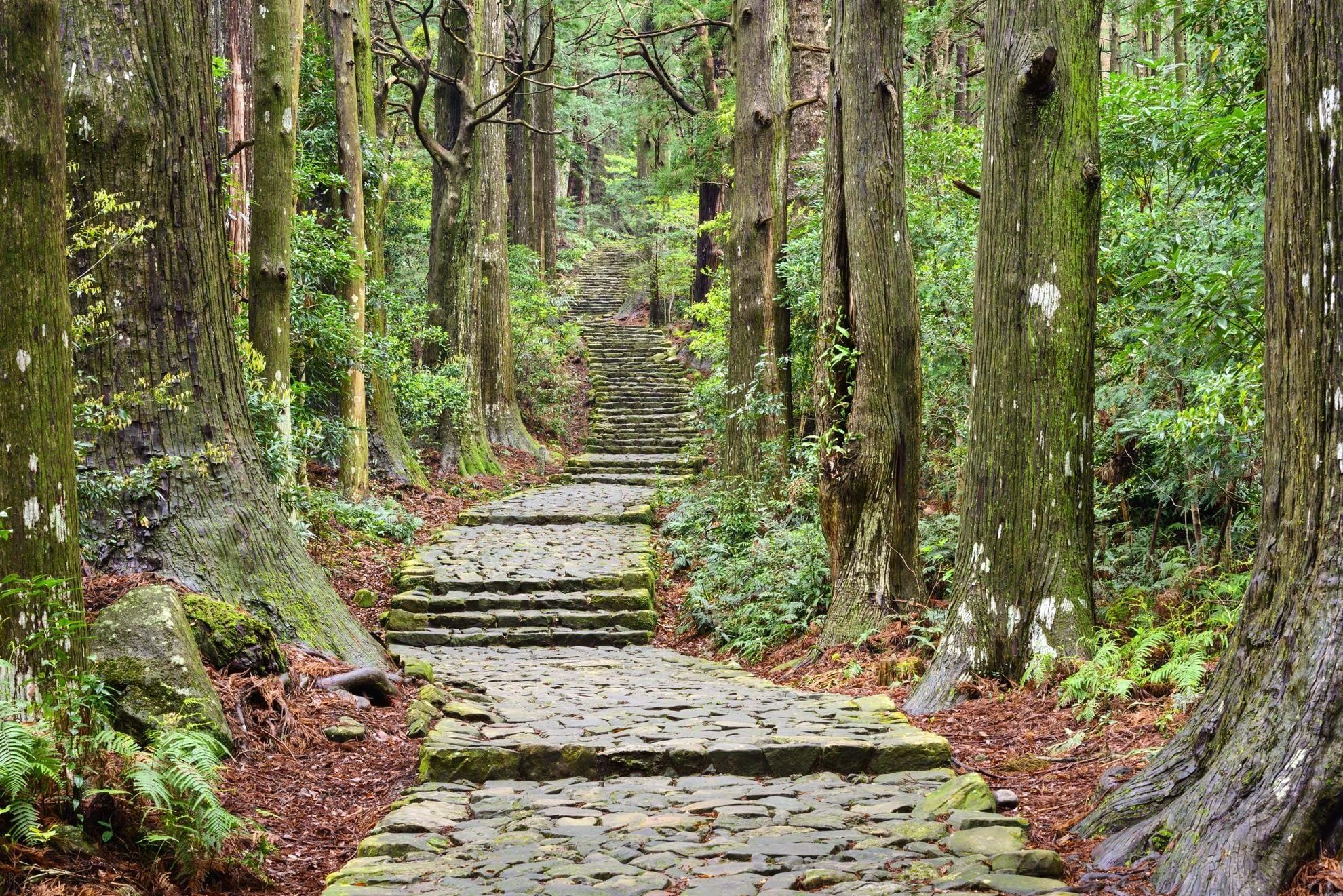 Sacred Trails of Japan
