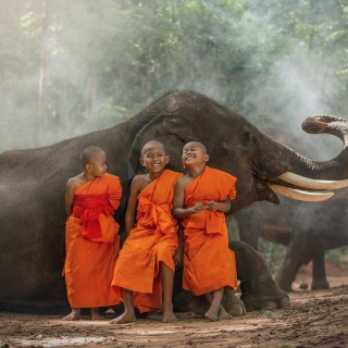 City, Jungle & Beach Adventure in Thailand