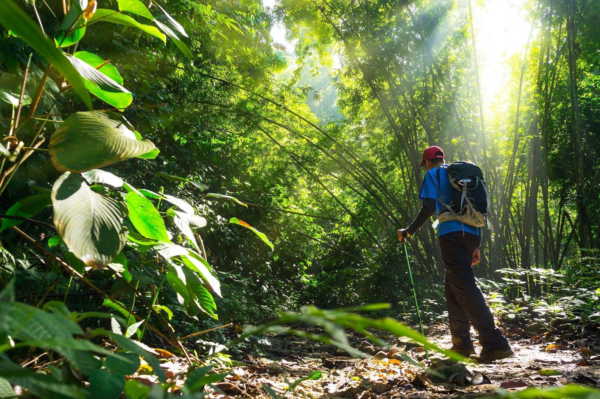 Discover Borneo