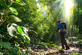 Discover Borneo