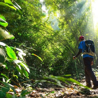 Discover Borneo