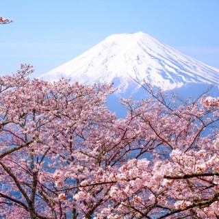 Romantic Japan