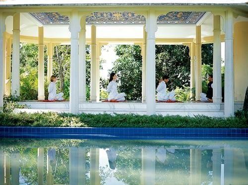 A Wellness Holiday in the Himalayas