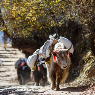 Rural Nepal