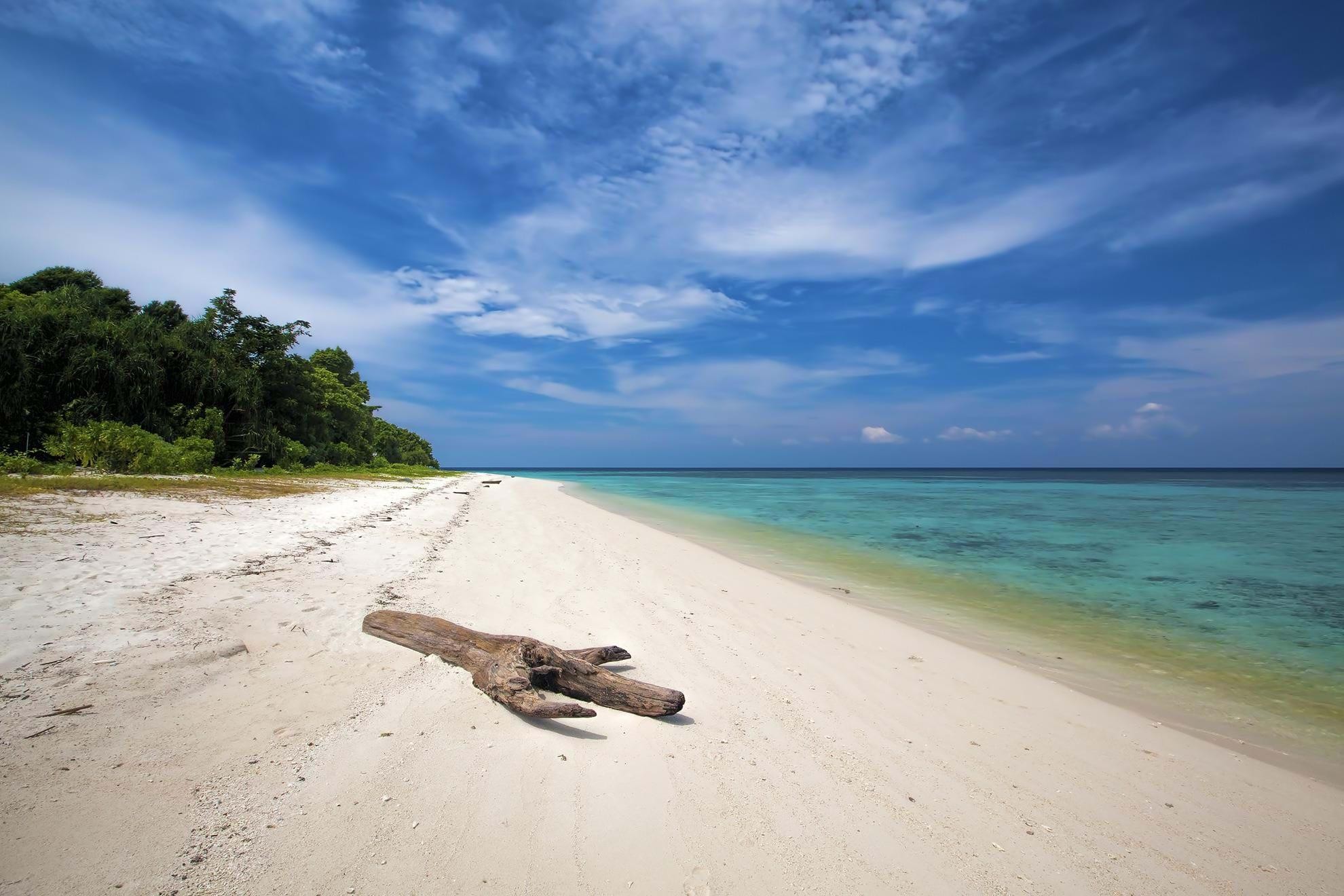 A Two Week Honeymoon in Borneo