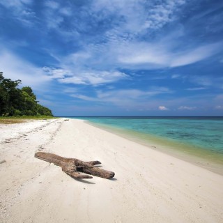 A Two Week Honeymoon in Borneo