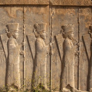 Iran Discovery