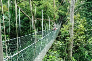 Wild Malaysia