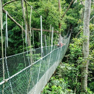 Wild Malaysia