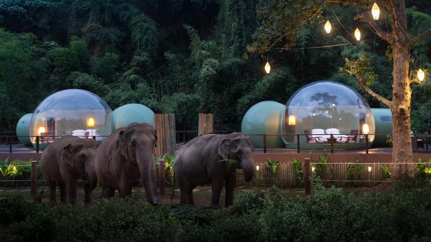 Anantara Golden Triangle Elephant Camp, Chiang Rai Hotel | TransIndus