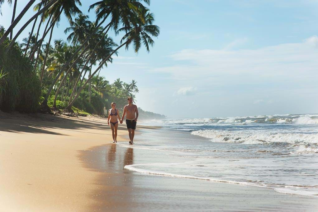 Best Honeymoon Hotels in Sri Lanka | TransIndus