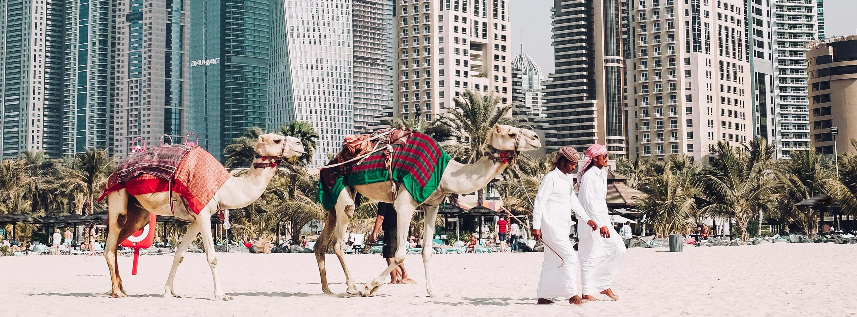 Holidays to United Arab Emirates and Dubai TransIndus