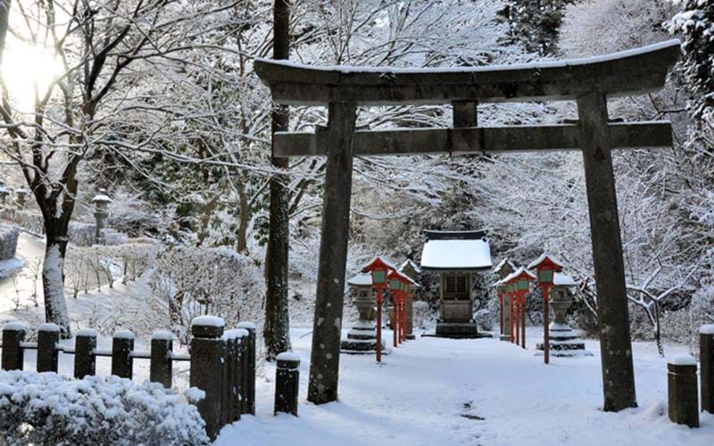 6 Reasons why Japan in Best in Winter | TransIndus
