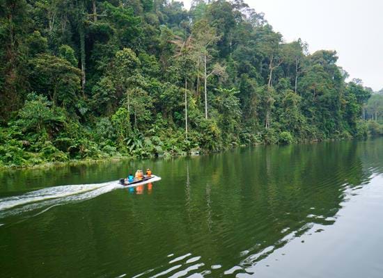 Mystical Borneo