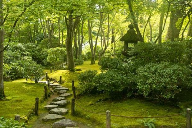 Okochi Sanso Moss